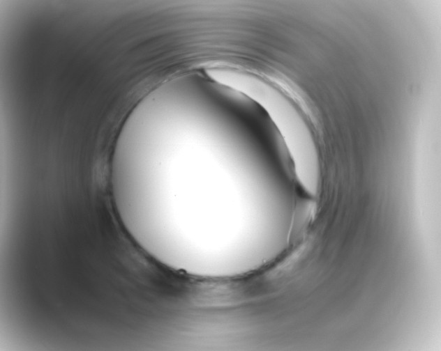 X0000088700993200706211941