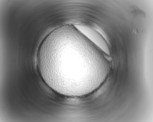 X0000088700994200706211941