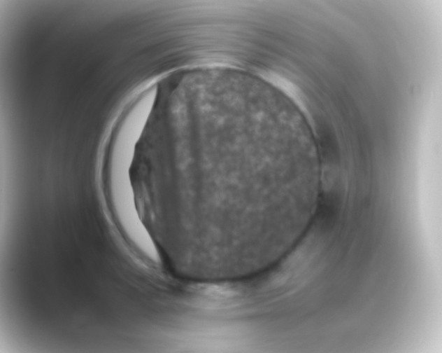 X0000088700995200706211941