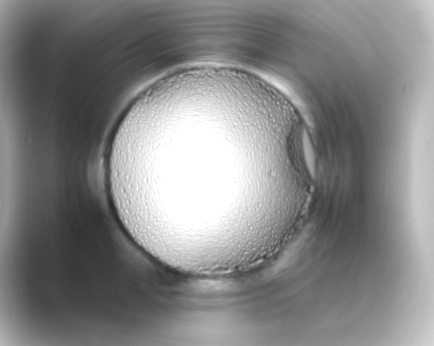 X0000088700998200706211941