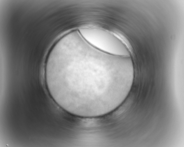 X0000088701000200706211941