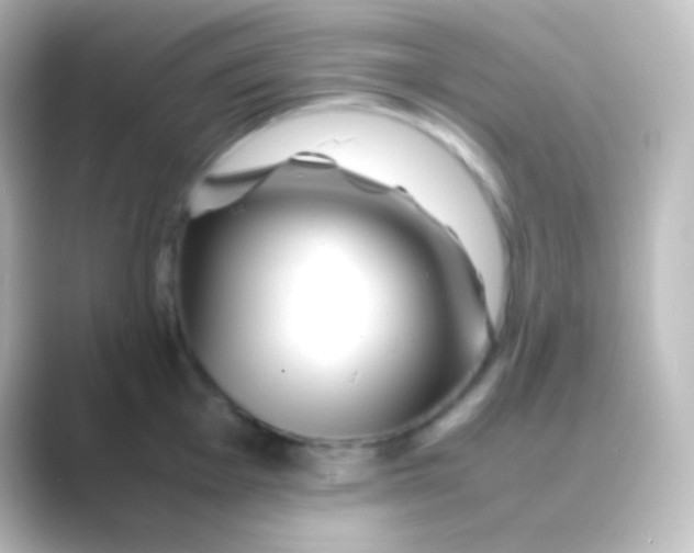 X0000088701001200706211941