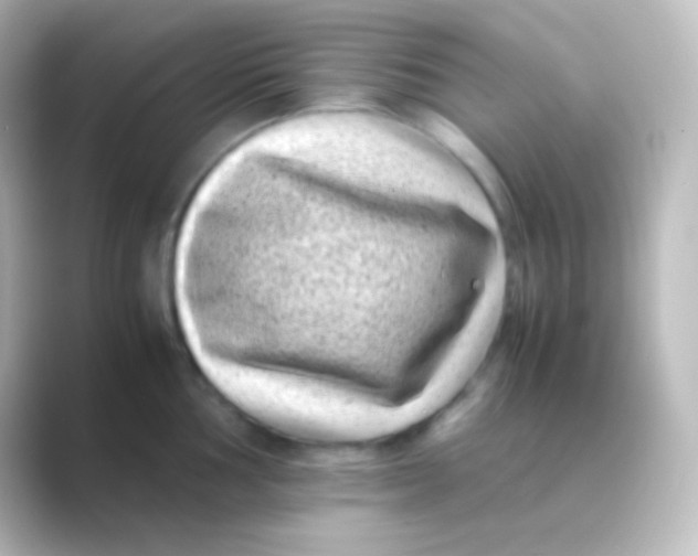 X0000088701002200706211941