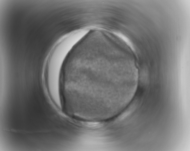 X0000088701007200706211941