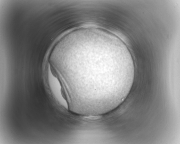 X0000088701008200706211941