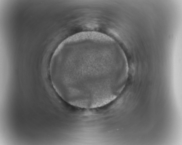 X0000088701009200706211940