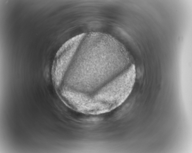 X0000088701011200706211941