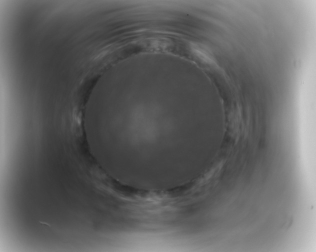 X0000088701013200706211941