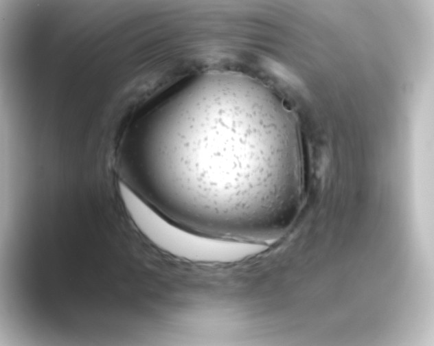 X0000088701014200706211941