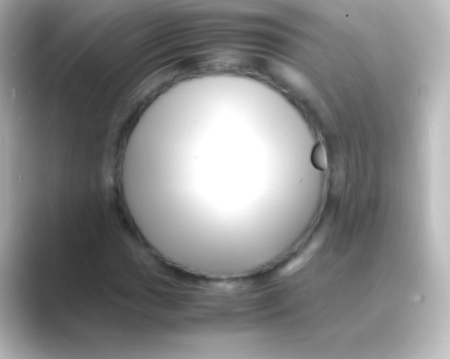X0000088701017200706211941