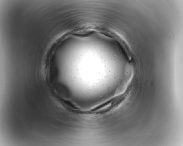 X0000088701018200706211941