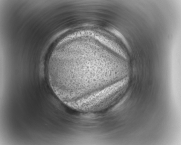 X0000088701019200706211941
