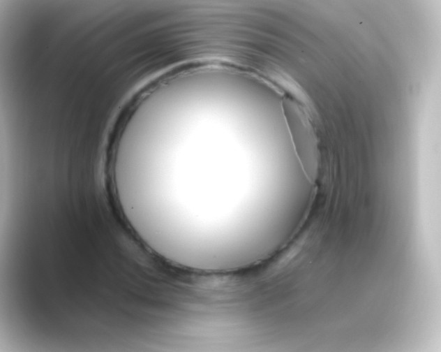 X0000088701020200706211941