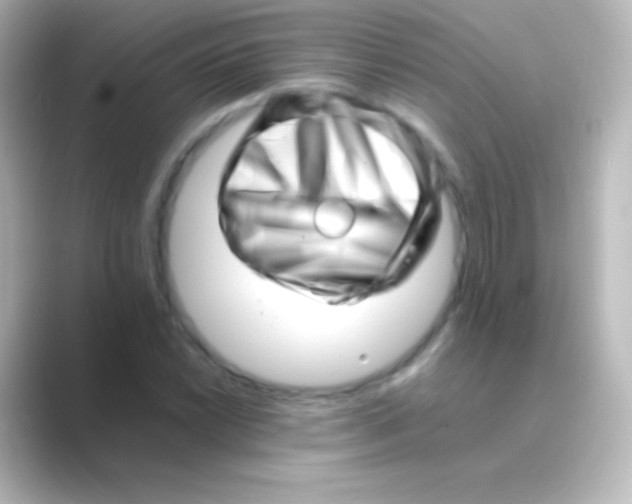 X0000088701022200706211941