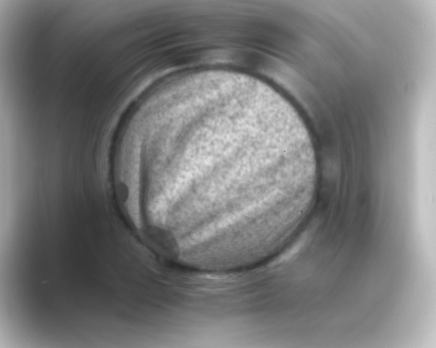 X0000088701023200706211941