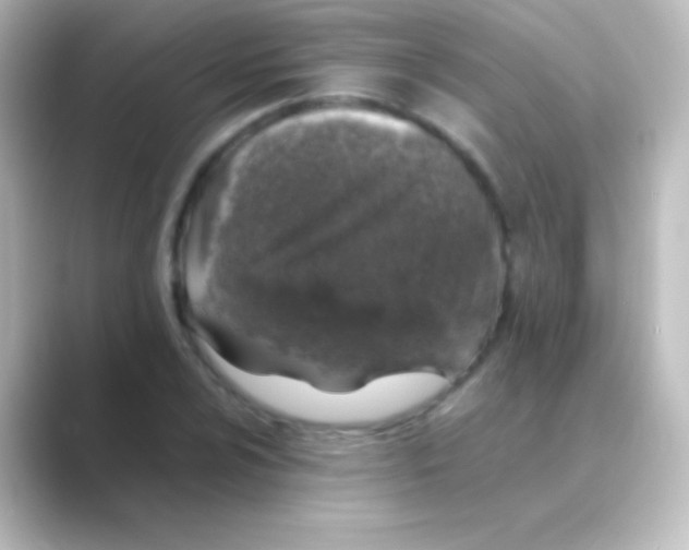 X0000088701024200706211941