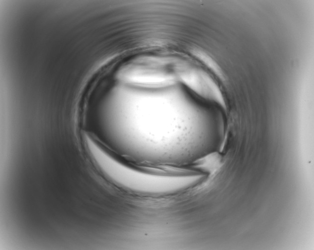 X0000088701026200706211941