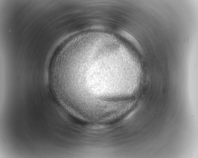 X0000088701027200706211941