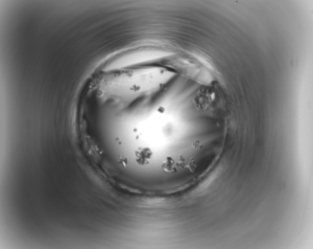 X0000088701030200706211941