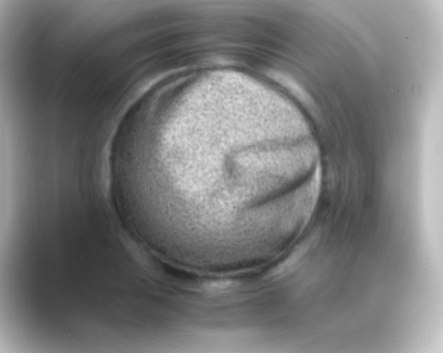 X0000088701031200706211941