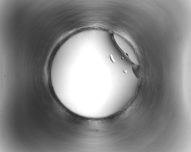 X0000088701032200706211941