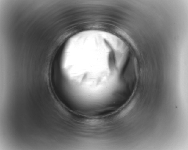 X0000088701033200706211941