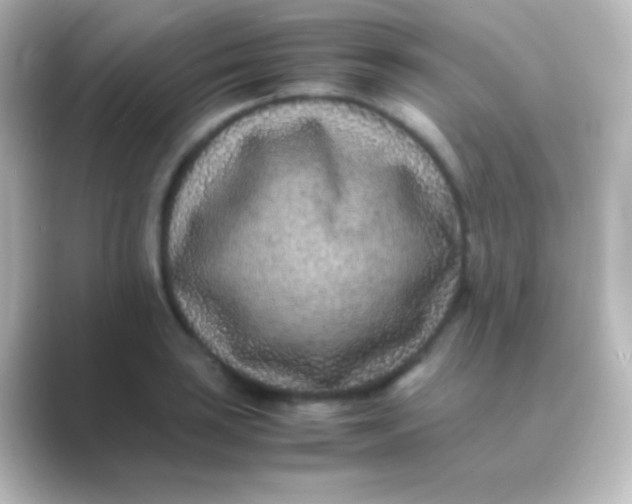 X0000088701035200706211941