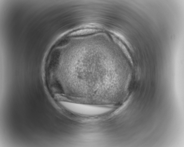 X0000088701038200706211941