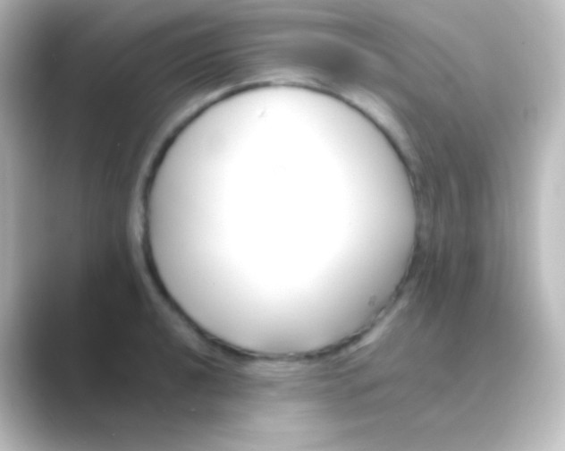 X0000088701040200706211941