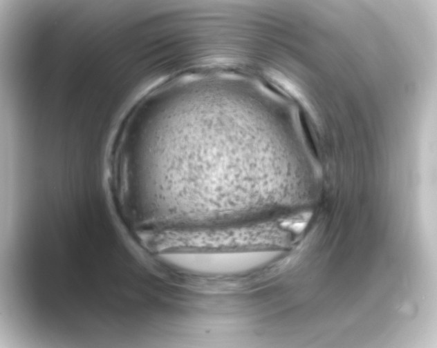 X0000088701042200706211941