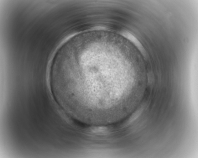 X0000088701043200706211941