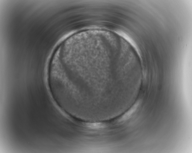 X0000088701045200706211941