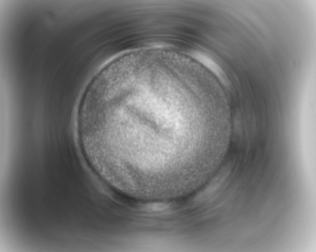 X0000088701047200706211941