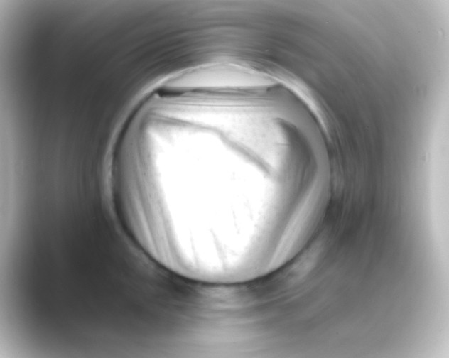 X0000088701048200706211941