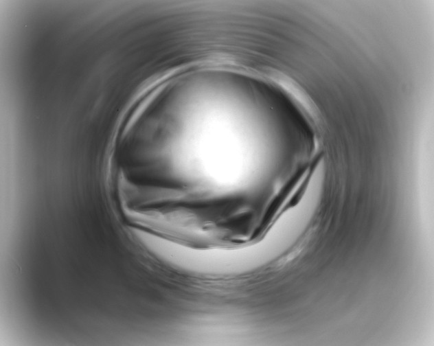 X0000088701052200706211941