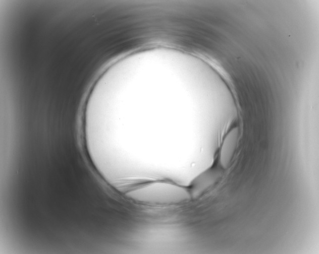 X0000088701056200706211941