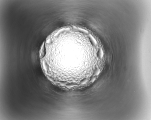 X0000088701059200706211940