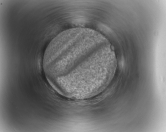 X0000088701060200706211940