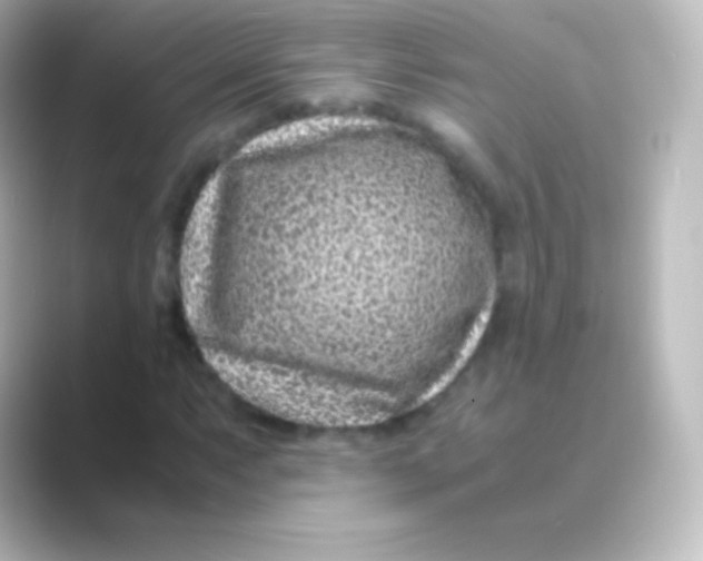 X0000088701063200706211940
