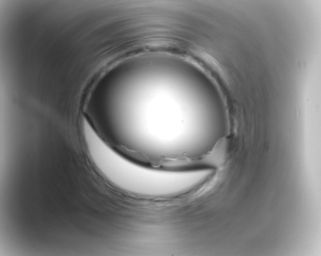 X0000088701065200706211940