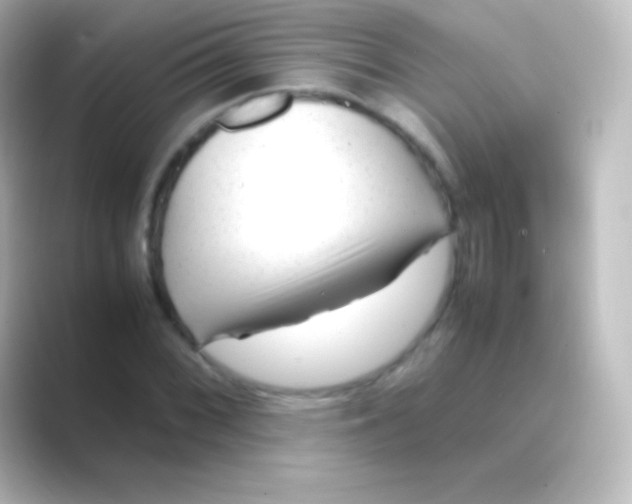 X0000088701068200706211940