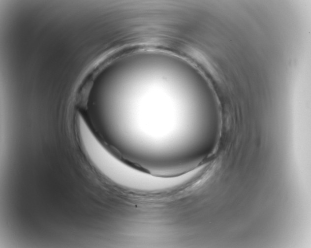 X0000088701069200706211940