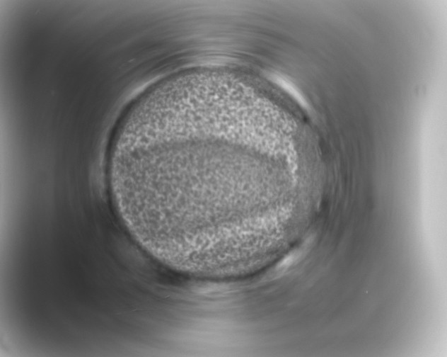 X0000088701071200706211940