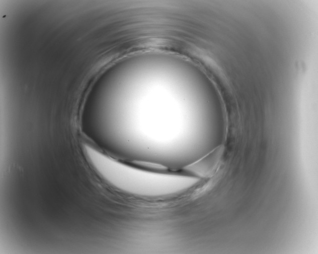 X0000088701073200706211940