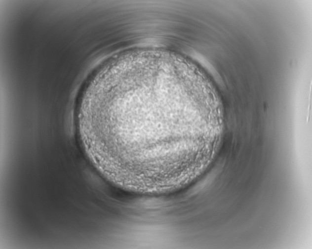 X0000088701075200706211940