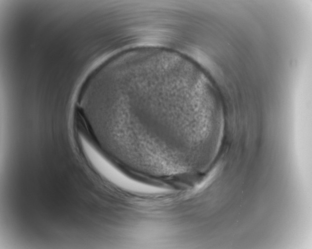 X0000088701077200706211940