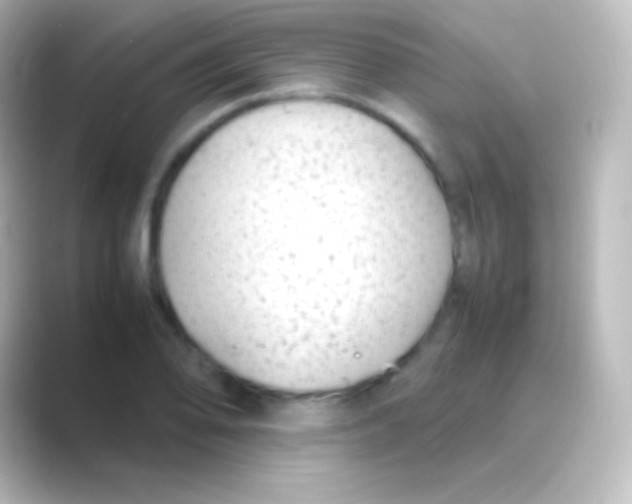 X0000088701078200706211940