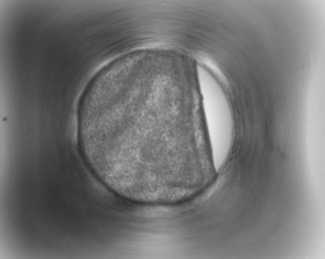 X0000088701079200706211940