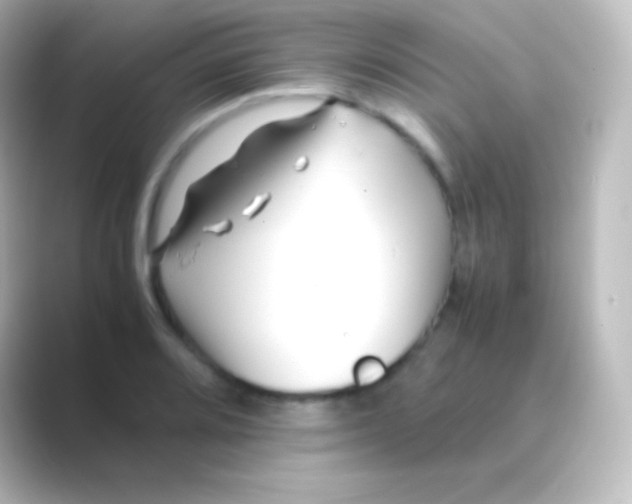 X0000088701080200706211940