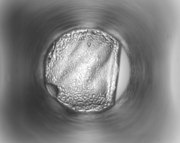 X0000088701083200706211940